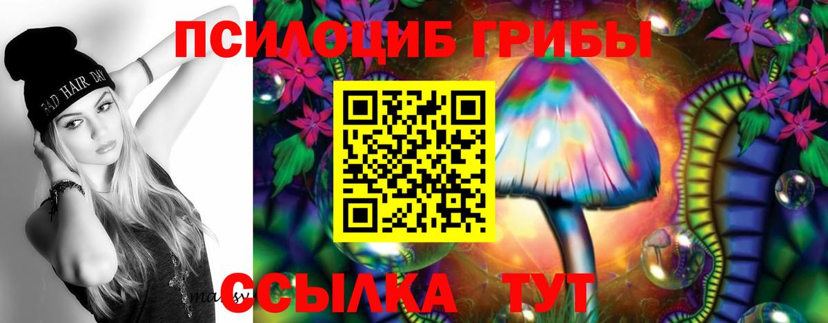 Псилоцибиновые грибы прущие грибы Нефтекамск