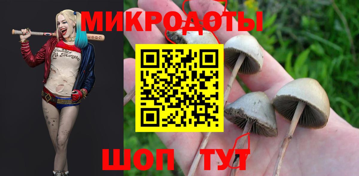 Псилоцибиновые грибы Psilocybine cubensis  Вход с VPN  Нефтекамск 